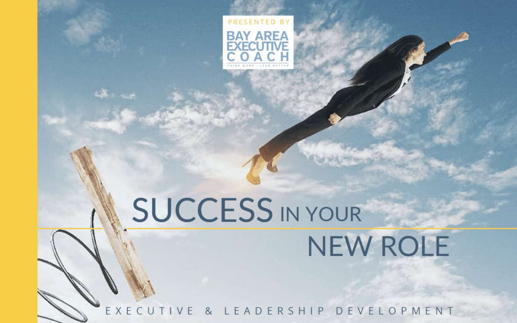 Ebook cover for Success in your new role