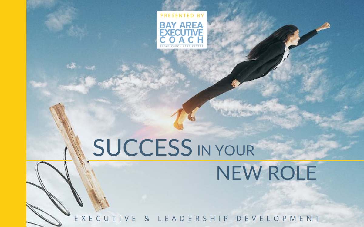 Success In Your New Role - eBook by Bay Area Executive Coach