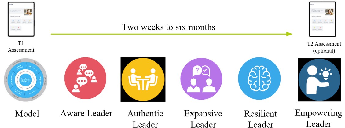 Emotionally Intelligent Leadership Assessment Timeline