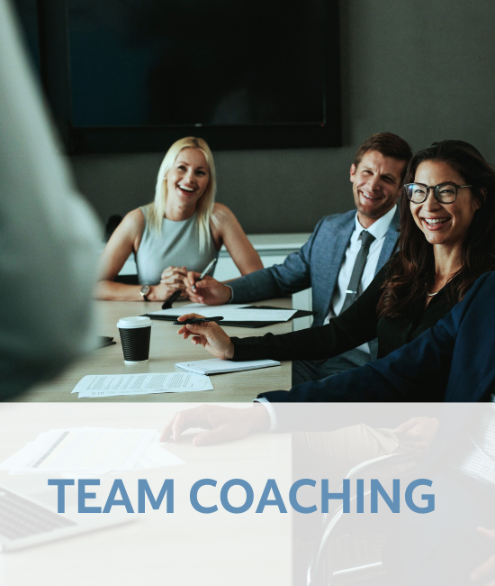 Team Coaching: Unique combination of assessments and results-based executive and team coaching programs to raise team performance.