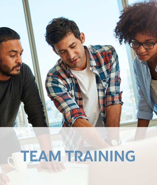 Team Training: Practical and impactful training classes to raise team performance.