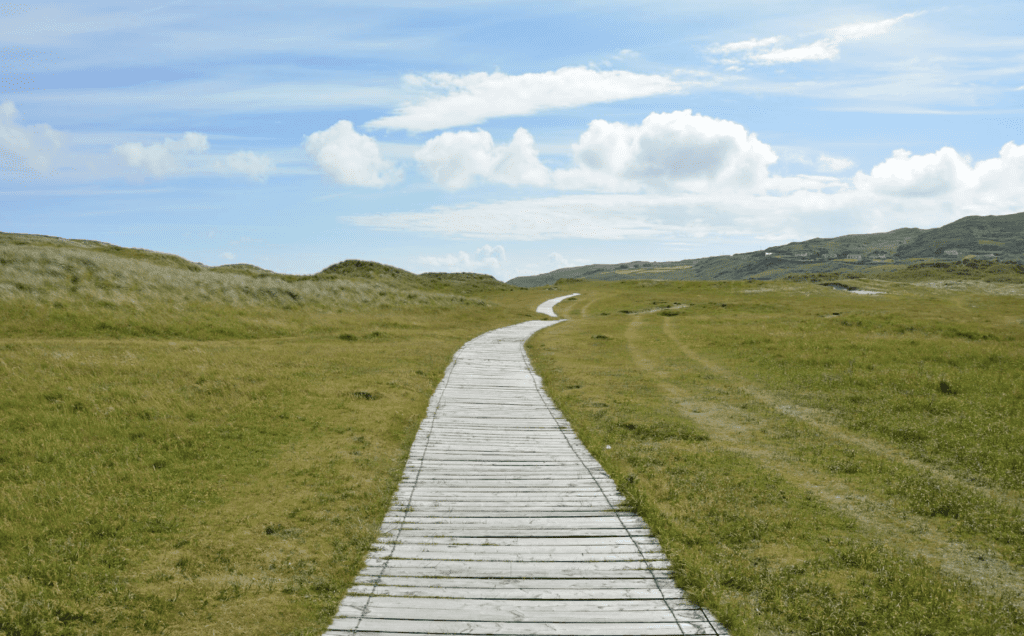 Clear Work Path Building a Best Place to Work: Create A Clear Path For Career Development
