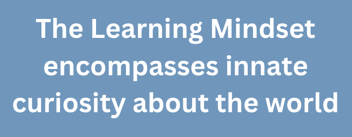 A graphic quote that says, "The Learning Mindset encompasses innate curiosity about the world"