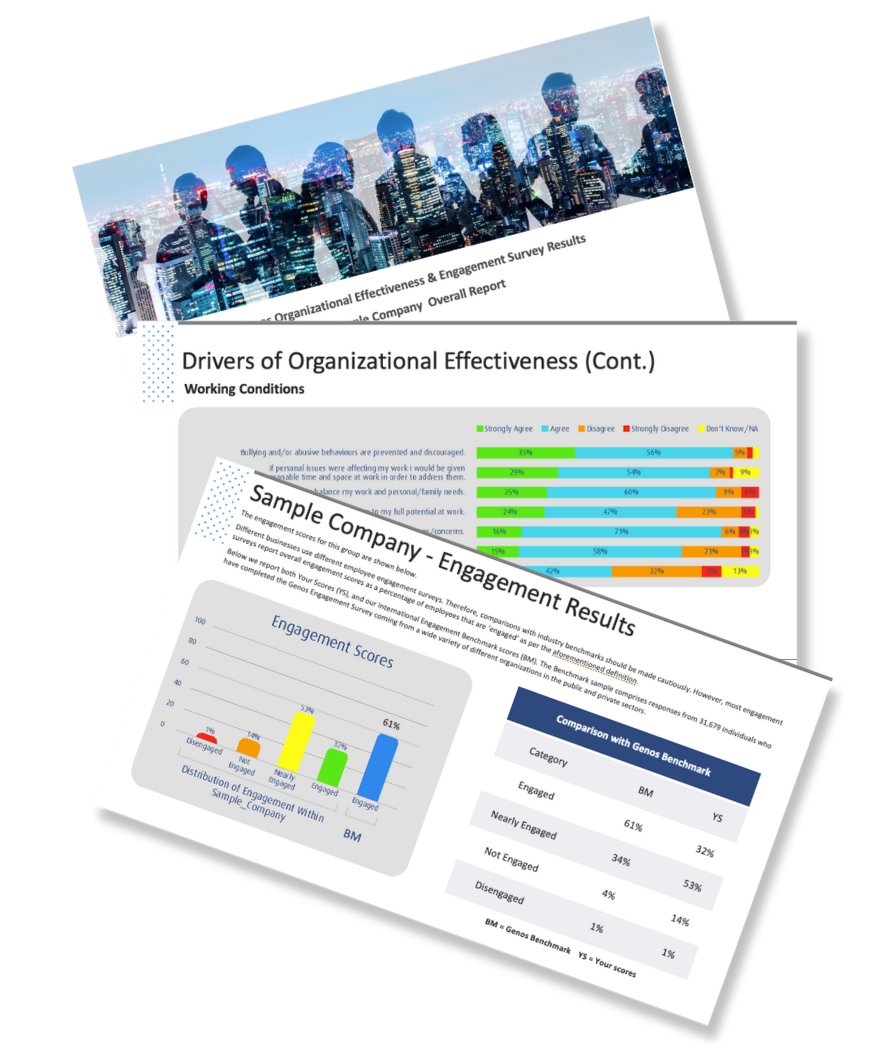 Thumbnail of the Checkpoint 360 Sample Assessment. 