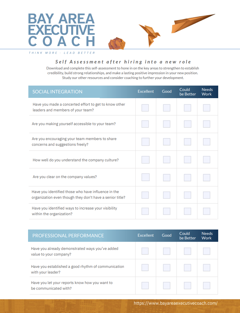 Thumbnail for the "Self-Assessment after hiring into a new role" for senior management.