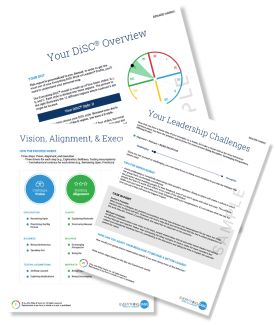 Work of Leaders sample reports, layered on top of each other as if physical pieces of paper.